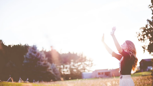 WE WISH TO SEE JESUS - DESIRING GOD