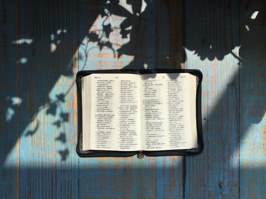 THE FIGHT FOR FAITH
